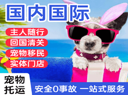 遥墙机场邮寄国际宠物托运 【国